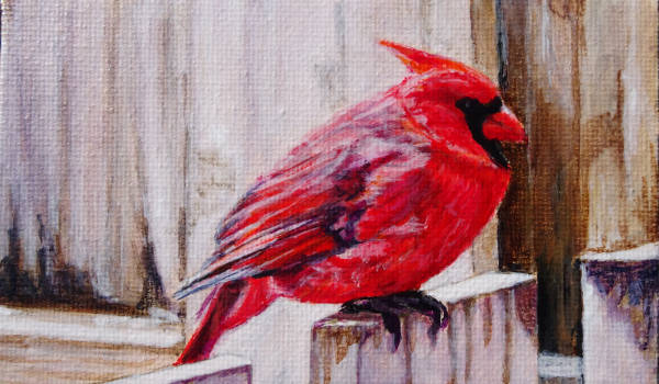 A Splash of Red - Sylvie Cermak