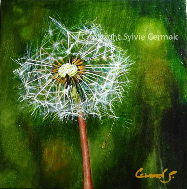 A Wish - Sylvie Cermak