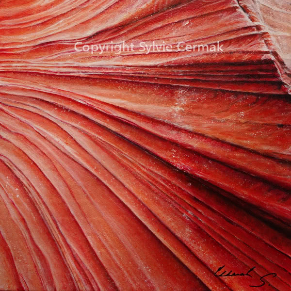 Antelope Canyon Waves (2 of 2) - Sylvie Cermak