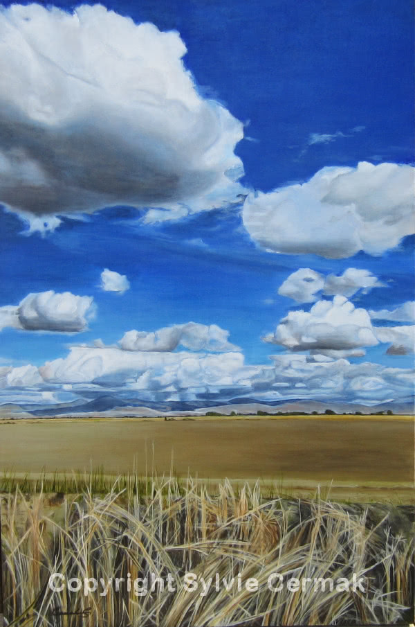 Clouds over the Fields - Sylvie Cermak
