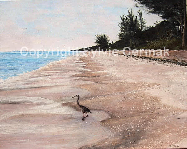 Florida Beach - Sylvie Cermak