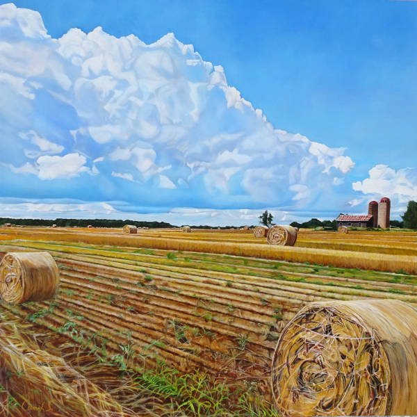 Harvest - Sylvie Cermak