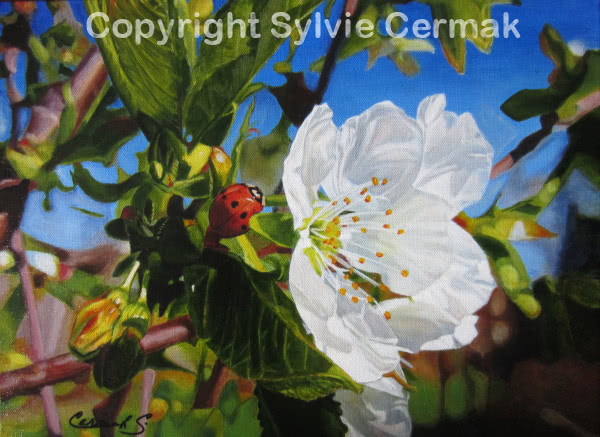 Lady in Red - Sylvie Cermak