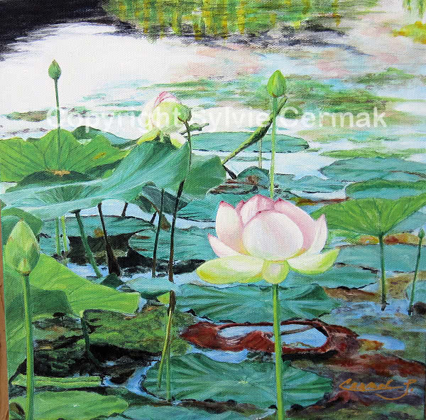 Lotuses in Waterwork Park - Sylvie Cermak