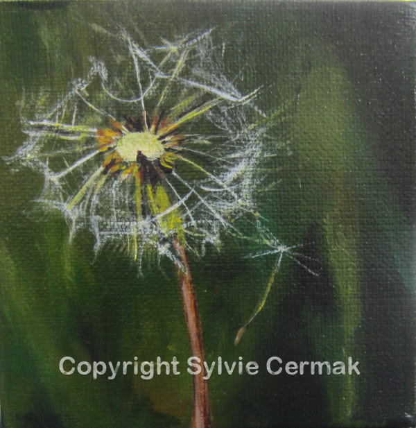 Make a Wish - Sylvie Cermak