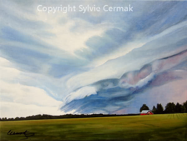 Sky Symphony - Sylvie Cermak