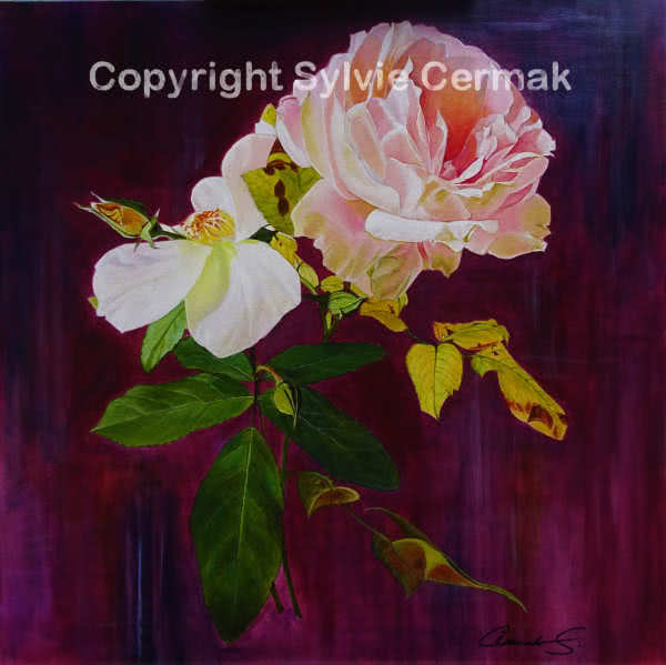 The Rose - Sylvie Cermak