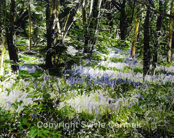 Where the Bluebells Grow - Sylvie Cermak